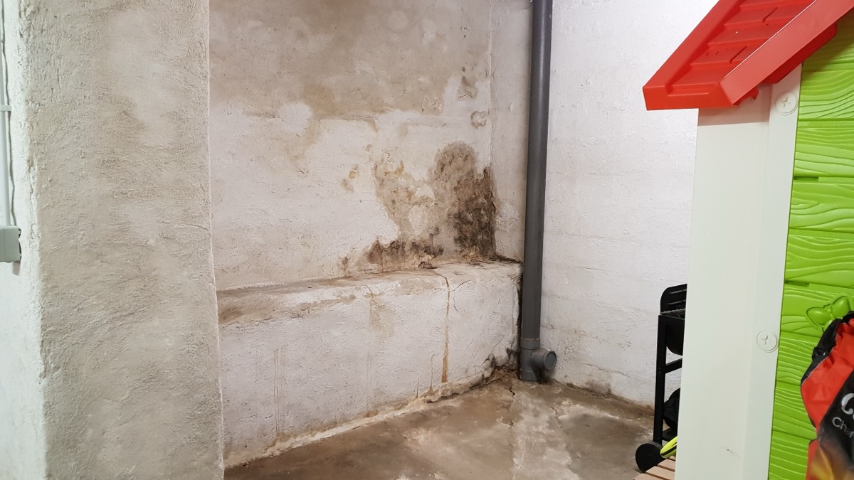 Infiltrations d'eau - Expertise humidité à Grenoble